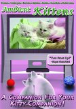 Ambient Kittens [2005]