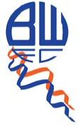 Bolton Wanderers Season Review 2007-2008