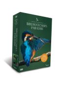 Bird Watcher's Paradise