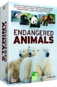Endangered Animals