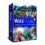 Wild Animal Rescue
