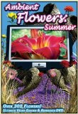 Ambient Flowers - Summer