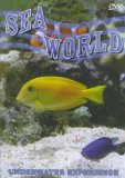 Sea World - Underwater Experience