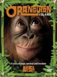 Orangutan Island