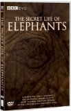 The Secret Life of Elephants