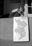 Japanther - Don't Trust Anyone Over 30 [DVD] [2009]