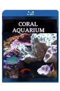 Plasma/LCD Art - Coral Aquarium [DVD]