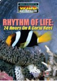 Rhythm Of Life - 24 Hours On A Coral Reef [DVD]