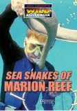 Sea Snakes Of Marion Reef [DVD]