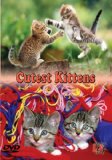 Cutest Kittens [DVD]