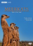 Meerkats - Part of a Team [DVD]