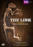 The Link [DVD]