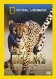 Big Cats - Cheetahs The Deadly Race [DVD]