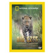 Big Cats - Stalking Leopards [DVD]