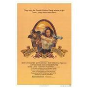 Cattle Annie And Little Britches [DVD]