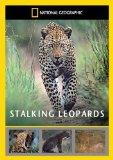 Stalking Leopards [DVD]