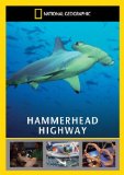 Hammerhead Highway [DVD]