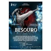 Besouro [DVD]