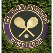Wimbledon: 2011 - The Men's Final [DVD]
