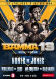BAMMA Volume 13 [DVD]