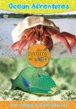Ocean Adventures Vol 2 (Schriemer Peter) [DVD]
