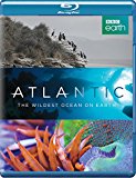 Atlantic: The Wildest Ocean on Earth [Blu-ray]