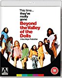 Beyond the Valley of the Dolls + The Seven Minutes [Blu-ray + DVD] [Limited Edition]