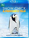 Snow Chick: A Penguin's Tale (BBC) [Blu-ray]