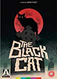 The Black Cat DVD [Region 1]