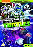 Teenage Mutant Ninja Turtles: Beyond The Known Universe & Intergalactic Attack (Season 4: Vols. 1 & 2) [DVD]