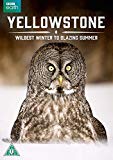 Yellowstone - Wildest Winter to Blazing Summer [DVD] [2016]