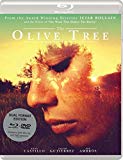 The Olive Tree (2016) (DVD)