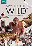 Spy in the Wild (BBC) 2-disc [DVD]