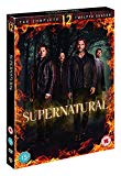 Supernatural: The Complete Twelfth Season [DVD] [2017]