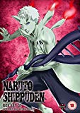Naruto Shippuden Box 31 (Episodes 388-401) [DVD]