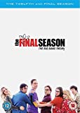 The Big Bang Theory Season 12 [DVD] [2019]