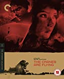 The Cranes Are Flying (1957) (CRITERION COLLECTION) UK Only [Blu-ray] [2020]