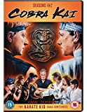 Cobra Kai - Seasons 01-02 [DVD] [2020]