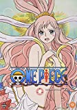 One Piece (Uncut): Collection 22 (Episodes 517-540) [DVD]