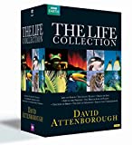 Attenborough - The Life Collection [DVD]