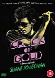 Crock of Gold: A Few Rounds with Shane MacGowan [DVD]