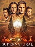 Supernatural: Season 15 [DVD] [2019]