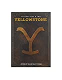 Yellowstone Season 1&2 [DVD] [2021]