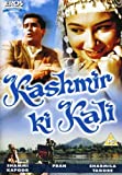 Kashmir Ki Kali [DVD]