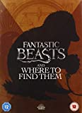 Fantastic Beasts and Where to Find Them [DVD] [2020]