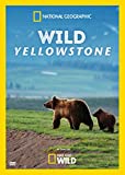 Wild Yellowstone [Region 1]