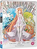 Sword Art Online: Alicization War of Underworld - Part 2 [DVD]