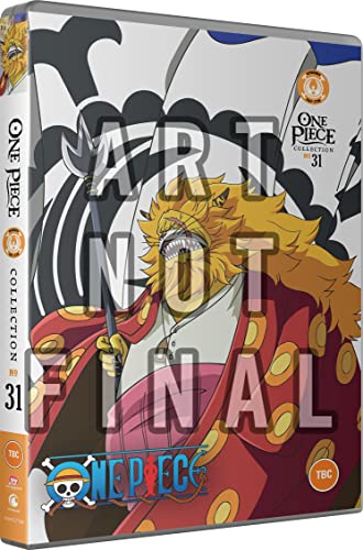 One Piece: Collection 31 (Episodes 747-770) [DVD]