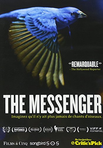 DVD - MESSENGER, THE (1 DVD)