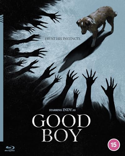 Good Boy [Blu-ray] [Region B]